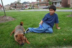Young boy with service dog
